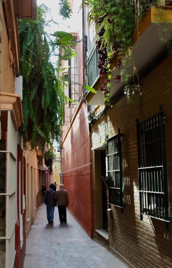 Wish Suite San Bartolome De Sevilla Dış mekan fotoğraf